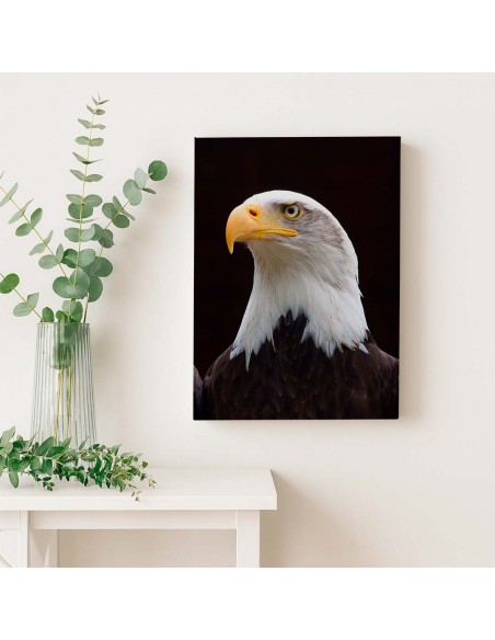 Cuadro Aguila de Mirada Firme en canvas Lienzografia de OSGESTUDIO