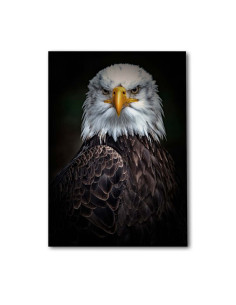Cuadro Aguila Guardiana en canvas Lienzografia OSGESTUDIO 2