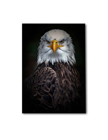 Cuadro Aguila Guardiana en canvas Lienzografia OSGESTUDIO