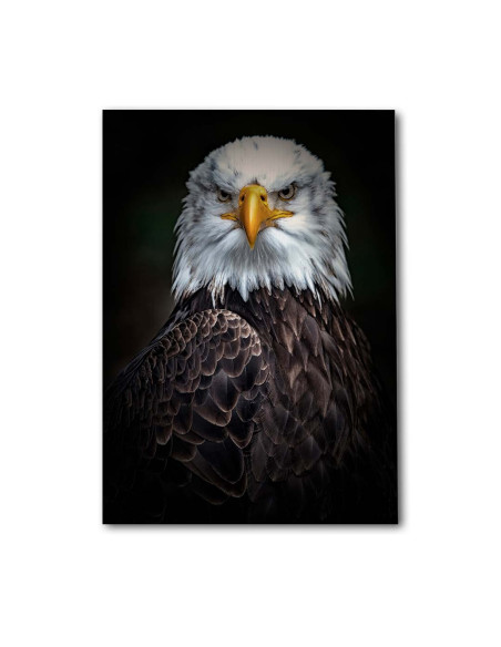 Cuadro Aguila Guardiana en canvas Lienzografia OSGESTUDIO