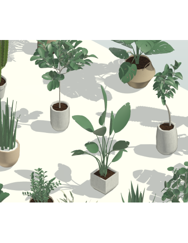 3D Potted Plants | 20+ Revit Families | OSGESTUDIO