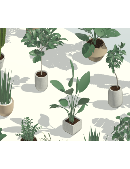 3D Potted Plants | 20+ Revit Families | OSGESTUDIO