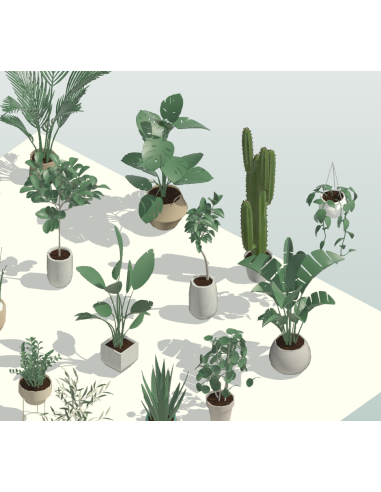 3D Potted Plants | 20+ Revit Families | OSGESTUDIO