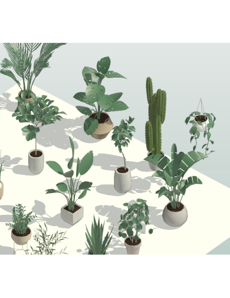 3D Potted Plants | 20+ Revit Families | OSGESTUDIO