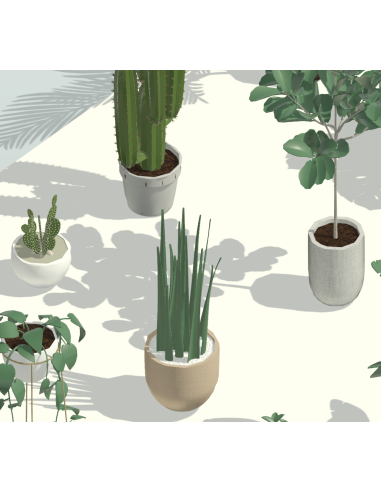3D Potted Plants | 20+ Revit Families | OSGESTUDIO