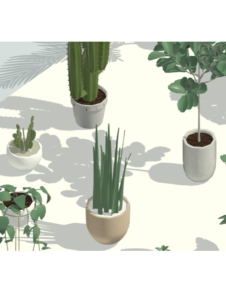3D Potted Plants | 20+ Revit Families | OSGESTUDIO