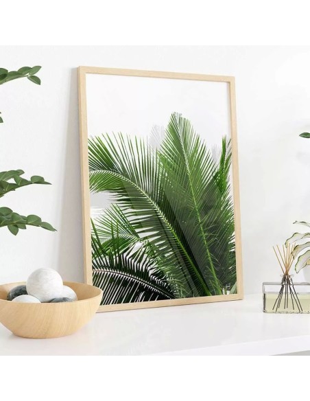 Cuadro Transparente Moderno "Palm Leaf III" - OSGESTUDIO - Decoración