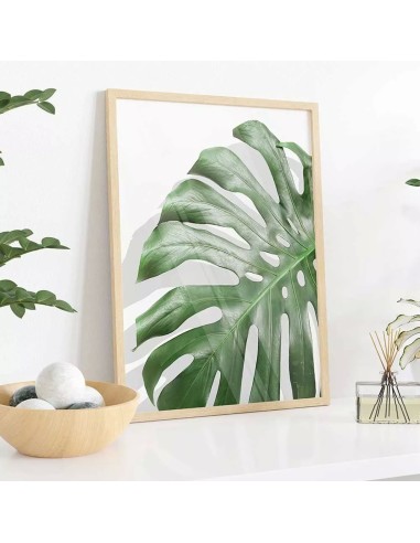 Cuadro Transparente Moderno " Monstera Leaf" - OSGESTUDIO - Decoración