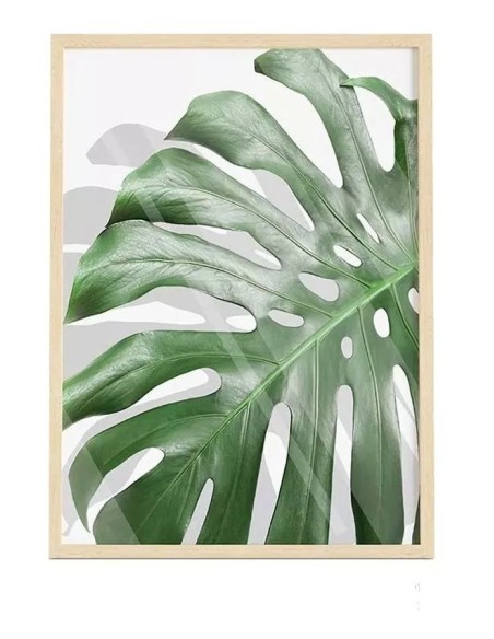 Cuadro Transparente Moderno " Monstera Leaf" - OSGESTUDIO - Decoración