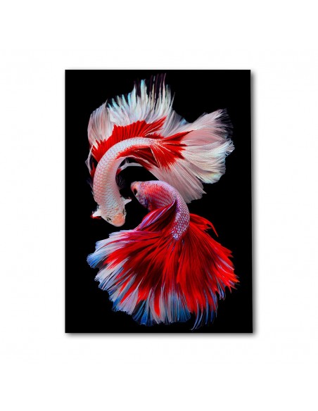 Betta Elegance – Cuadro Decorativo en Lienzo Canvas