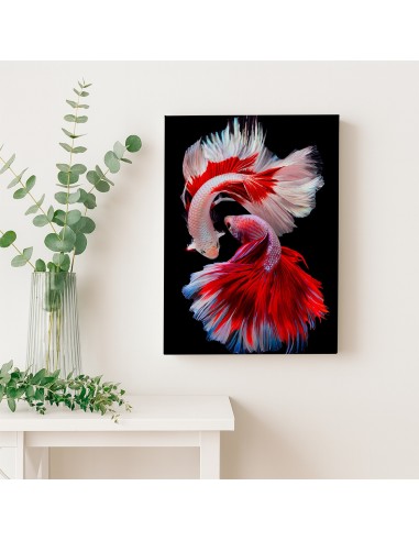 Betta Elegance – Cuadro Decorativo en Lienzo Canvas