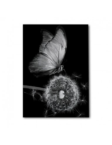 Mariposa Nocturna – Cuadro Decorativo en Lienzo Canvas