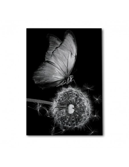 Mariposa Nocturna – Cuadro Decorativo en Lienzo Canvas