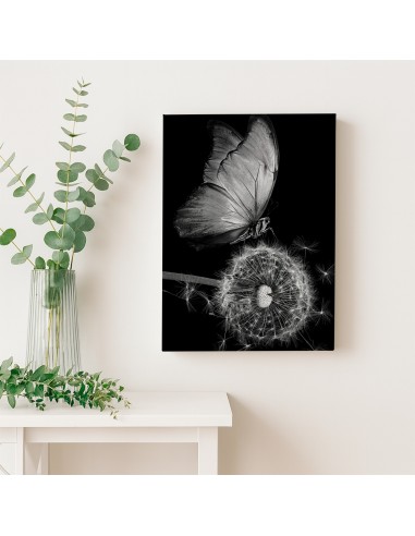 Mariposa Nocturna – Cuadro Decorativo en Lienzo Canvas