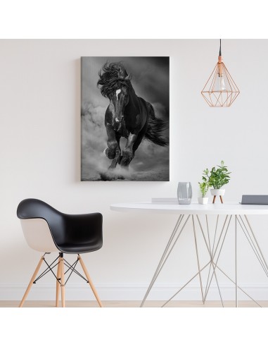 Caballo Salvaje – Cuadro Decorativo en Lienzo Canvas