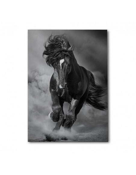 Caballo Salvaje – Cuadro Decorativo en Lienzo Canvas