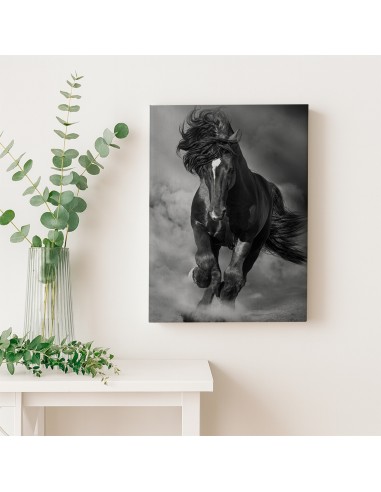 Caballo Salvaje – Cuadro Decorativo en Lienzo Canvas