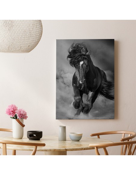 Caballo Salvaje – Cuadro Decorativo en Lienzo Canvas