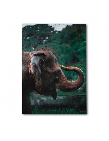 Elefante Majestuoso – Cuadro Decorativo en Lienzo Canvas