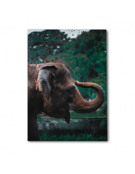 Elefante Majestuoso – Cuadro Decorativo en Lienzo Canvas