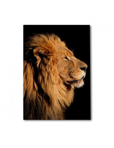 León Majestuoso – Cuadro Decorativo en Lienzo Canvas