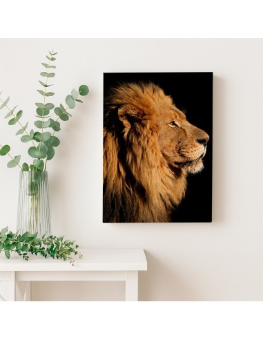 León Majestuoso – Cuadro Decorativo en Lienzo Canvas