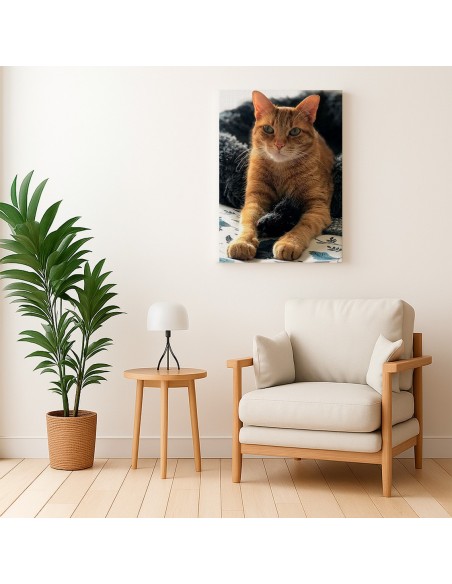 Cuadro personalizado con tu imagen | Cuadros personalizados en lienzo